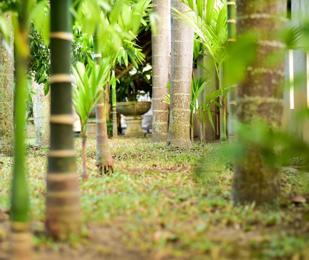 Chiang Mai Heritage House Hotel Exterior photo